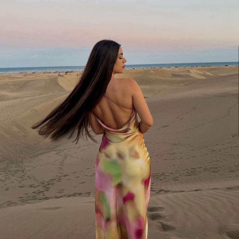 Zara maxi dress